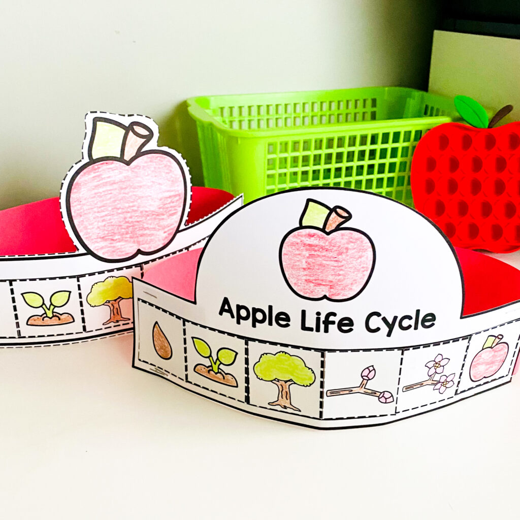 apple life cycle crown for kindergarten