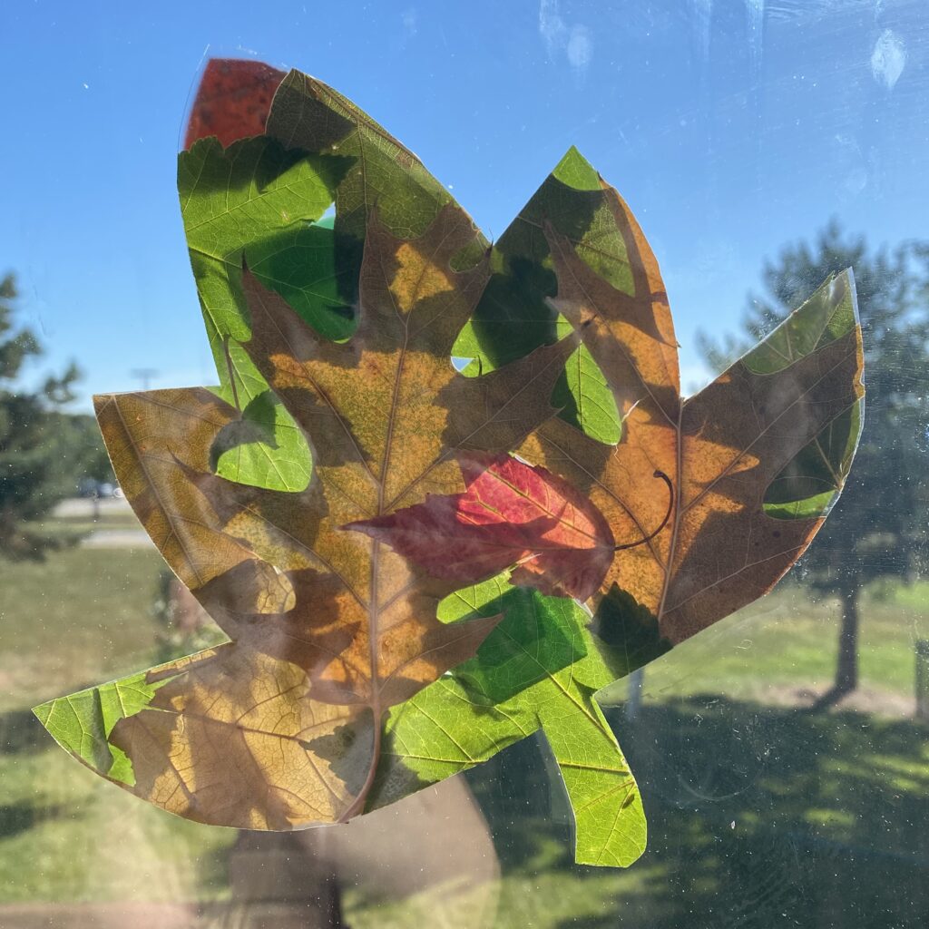 leaf fall art activities for kindergarten classroom