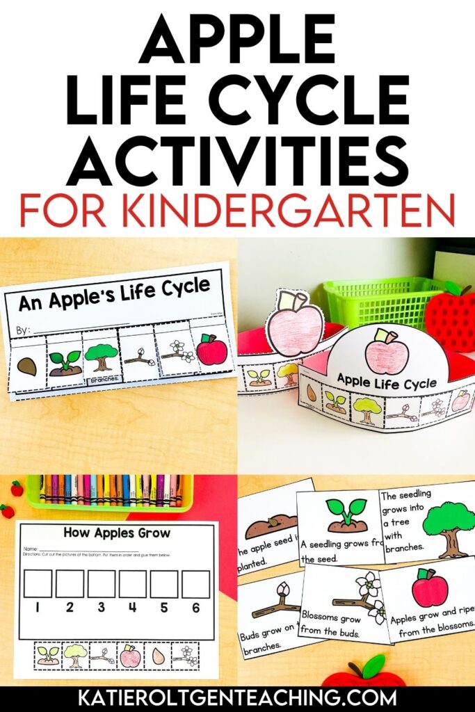 apple life cycle activities