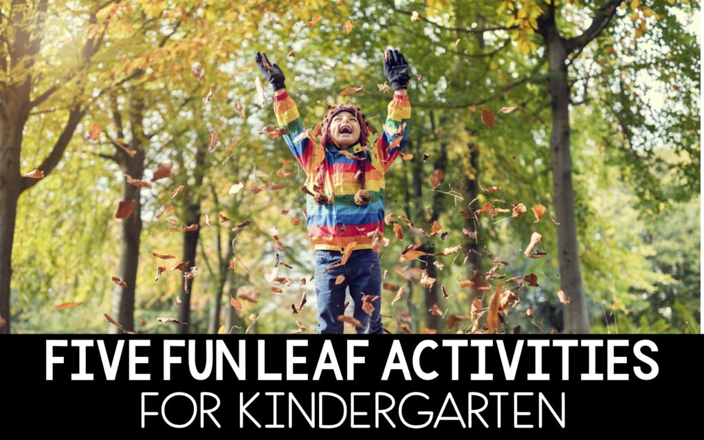 leaf fall activities for kindergarten classroom