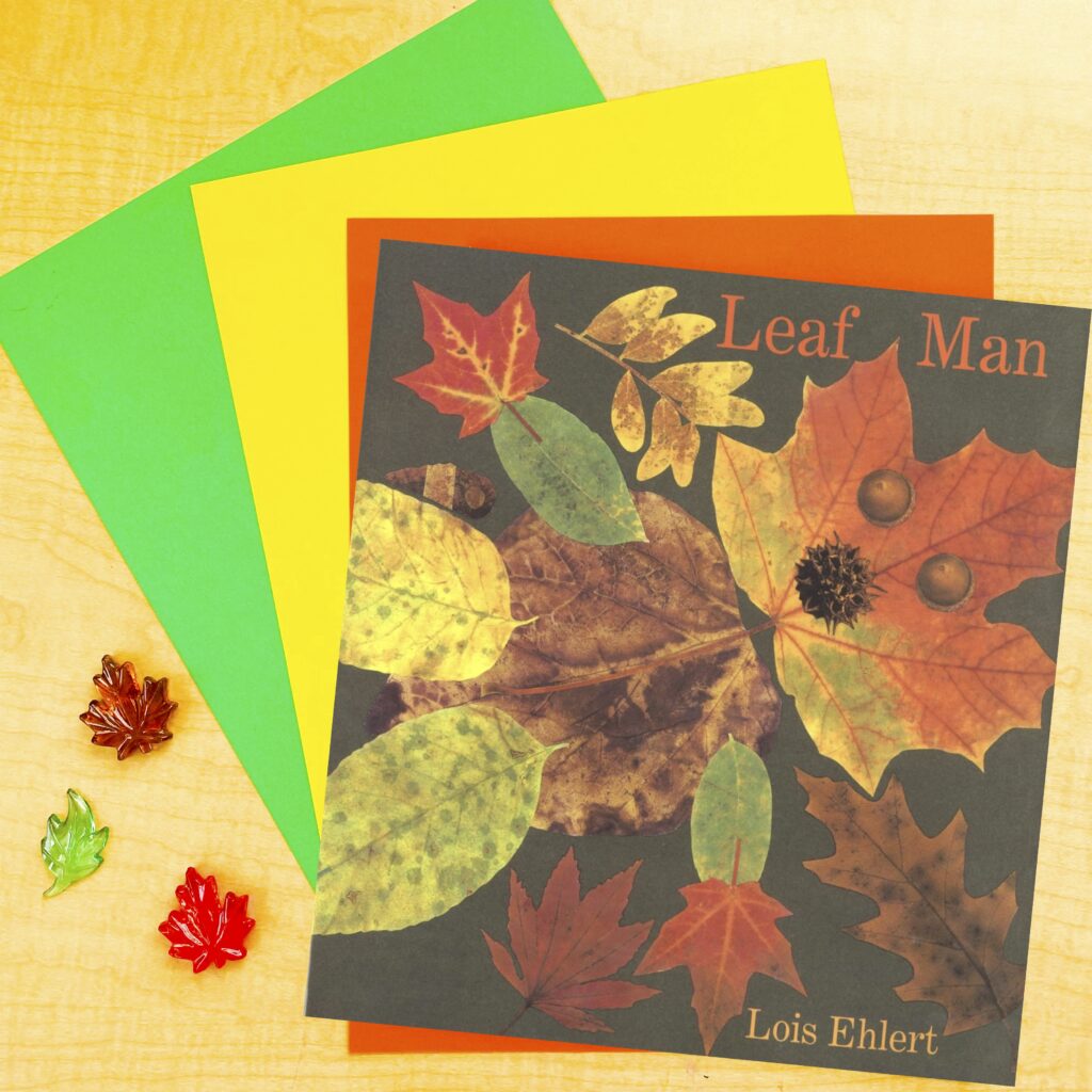 leaf fall books for kindergarten classroom