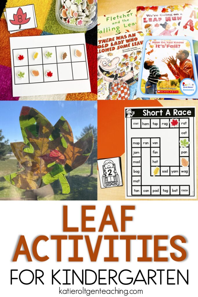 leaf fall activities for kindergarten classroom