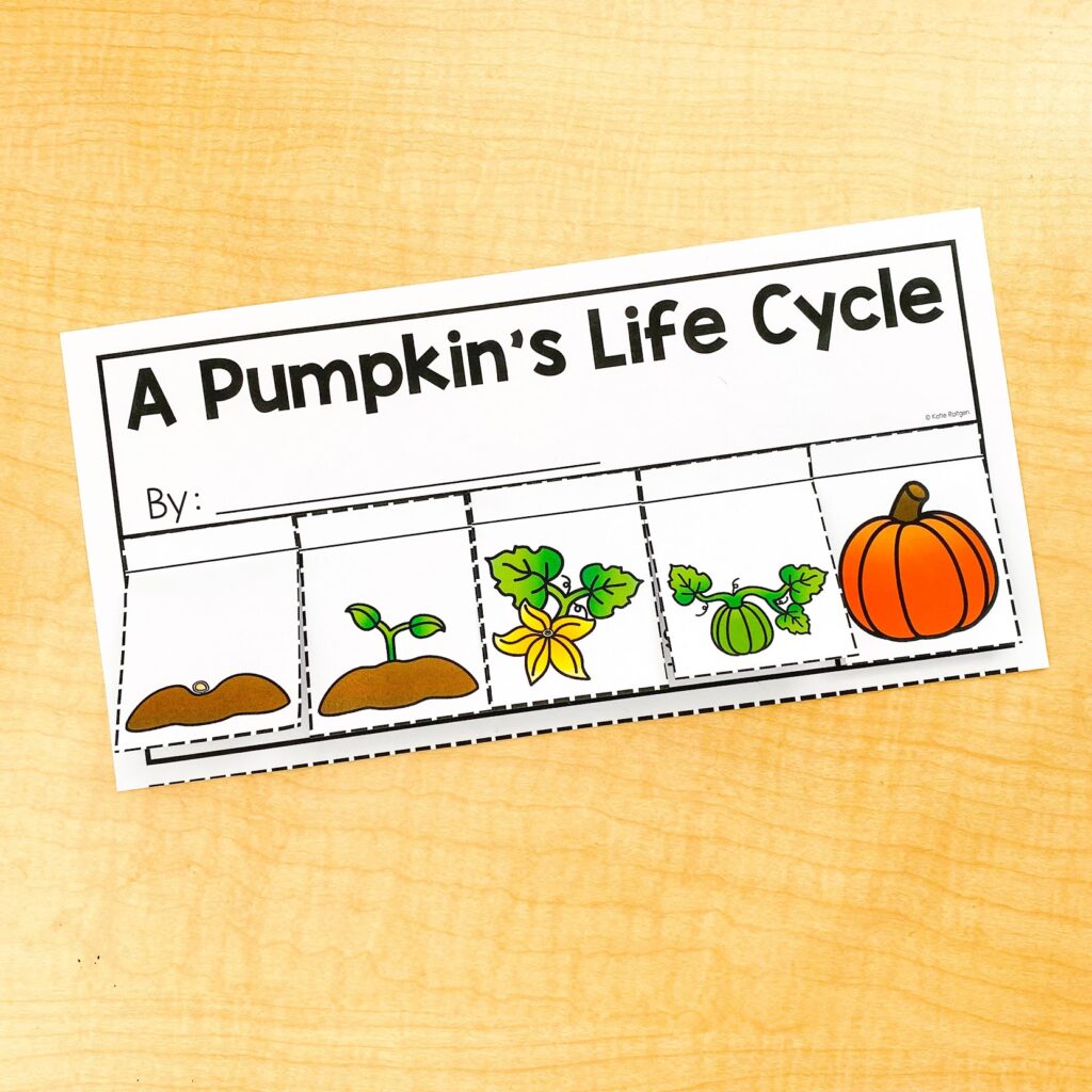 pumpkin life cycle activities for kindergarten