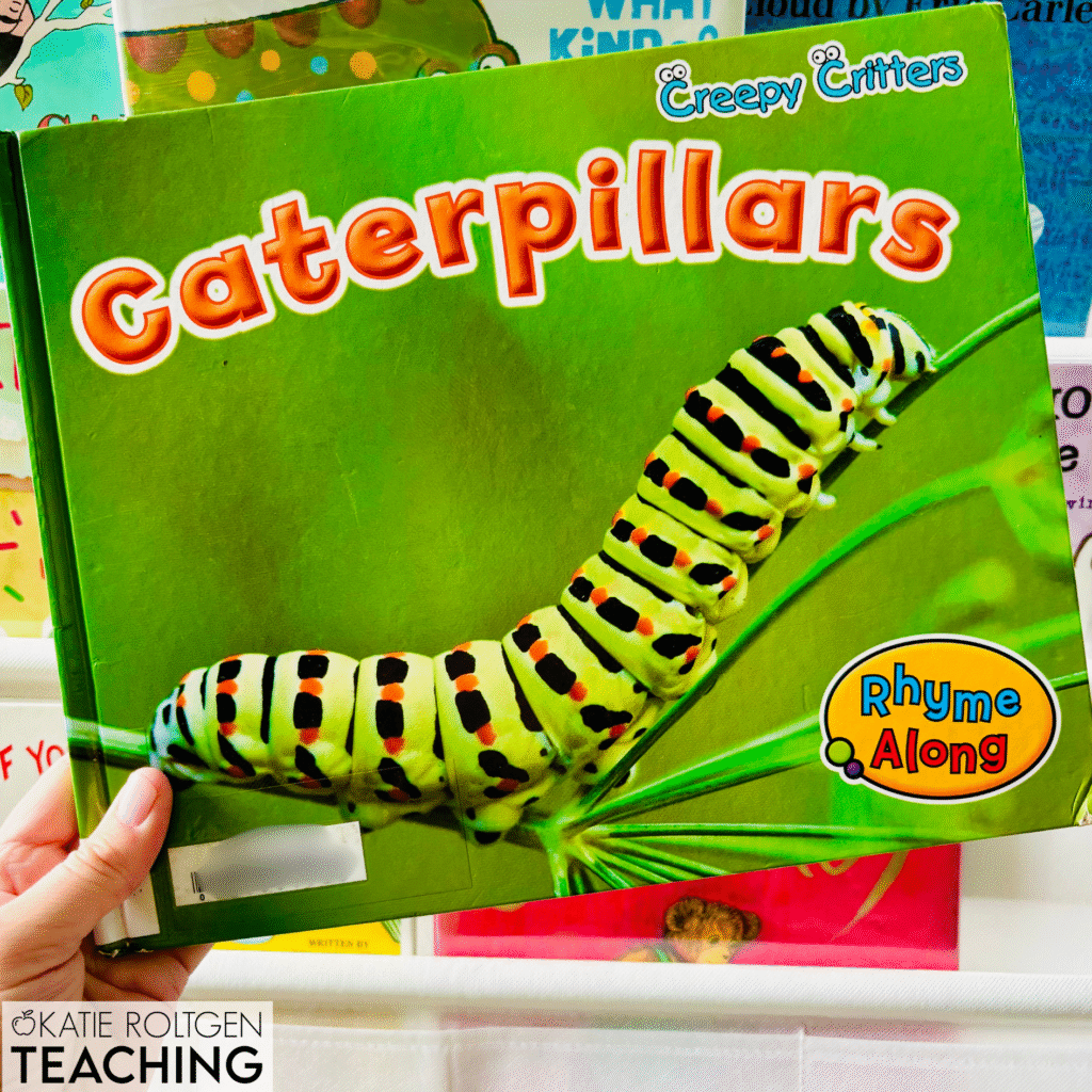 caterpillars book
