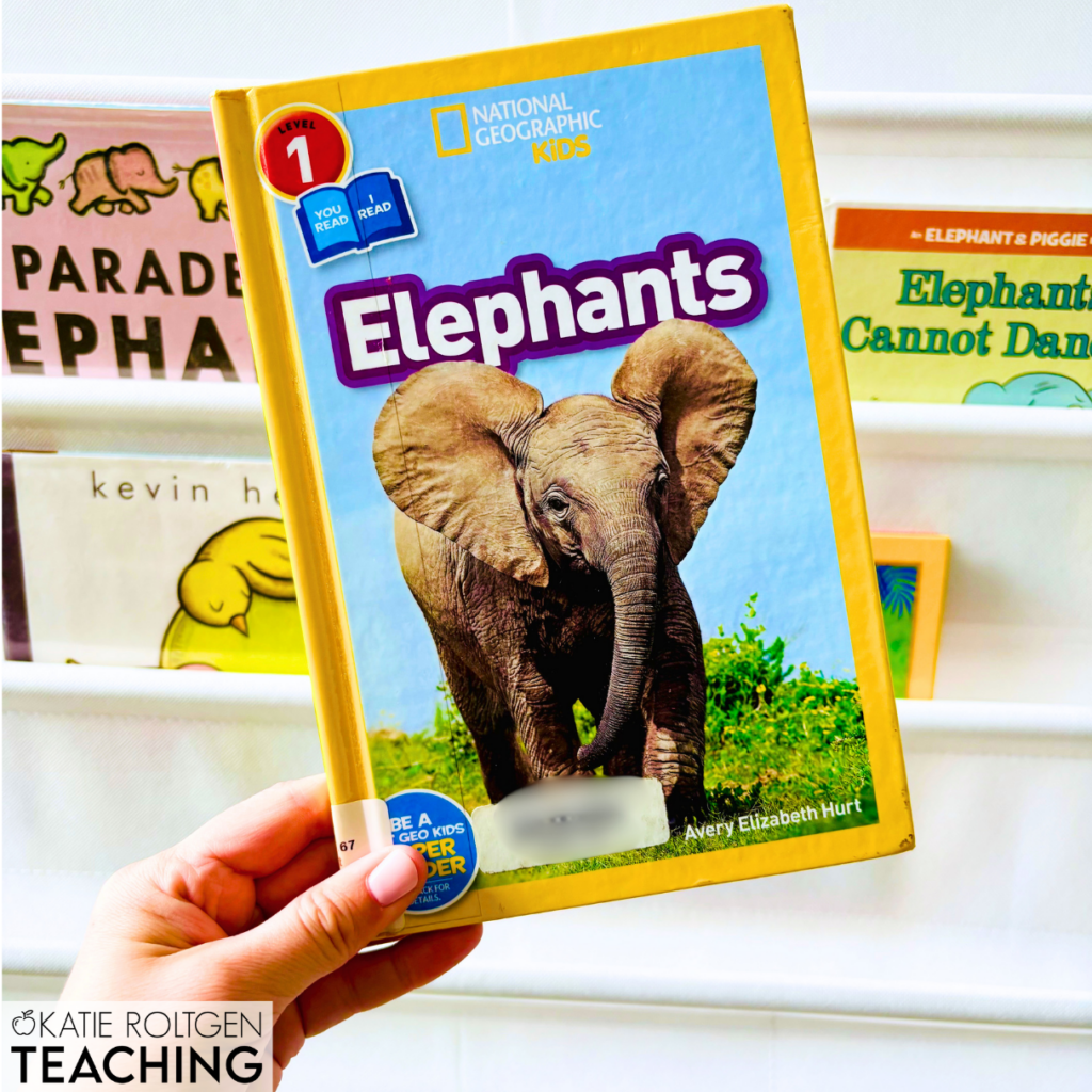 books for teaching about the letter e